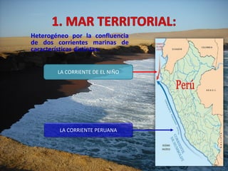 Heterogéneo por la confluencia
de dos corrientes marinas de
características distintas:
LA CORRIENTE PERUANA
LA CORRIENTE DE EL NIÑO
 