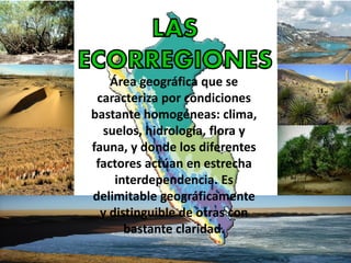 Área geográfica que se
caracteriza por condiciones
bastante homogéneas: clima,
suelos, hidrología, flora y
fauna, y donde los diferentes
factores actúan en estrecha
interdependencia. Es
delimitable geográficamente
y distinguible de otras con
bastante claridad.
 
