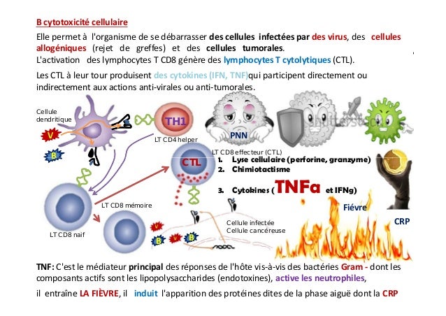 Le rhume peut être provoqué par les parasites