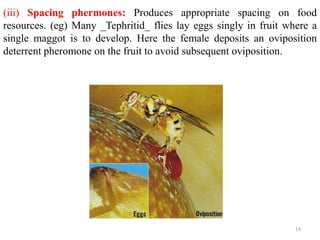 (iii) Spacing phermones: Produces appropriate spacing on food
resources. (eg) Many _Tephritid_ flies lay eggs singly in fruit where a
single maggot is to develop. Here the female deposits an oviposition
deterrent pheromone on the fruit to avoid subsequent oviposition.
14
 