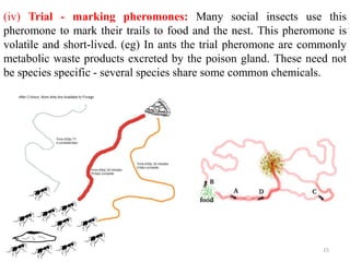 Tropism in insects & insect communication | PPT