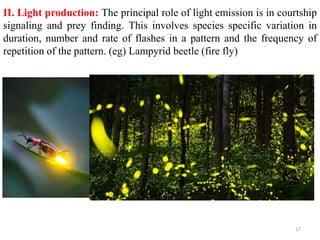 II. Light production: The principal role of light emission is in courtship
signaling and prey finding. This involves species specific variation in
duration, number and rate of flashes in a pattern and the frequency of
repetition of the pattern. (eg) Lampyrid beetle (fire fly)
17
 