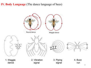 IV. Body Language (The dance language of bees)
19
 