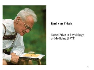 20
Karl von Frisch
Nobel Prize in Physiology
or Medicine (1973)
 
