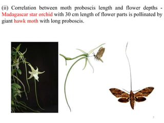 (ii) Correlation between moth proboscis length and flower depths -
Madagascar star orchid with 30 cm length of flower parts is pollinated by
giant hawk moth with long proboscis.
7
 