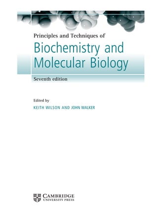 Principles And Techniques Of Biochemistry And Molecular Biology 7th ...