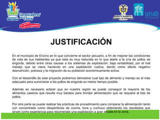 JUSTIFICACIÓN En el municipio de Encino en lo que concierne el sector pecuario, a fin de mejorar las condiciones de vida de sus habitantes ya que esta es muy reducida en lo que atañe a la cría de pollos de engorde, debido entre otras causas a los sistemas de explotación, baja rentabilidad, por el mal manejo que se viene haciendo en una explotación rustica, dando como efecto negativo desnutrición, pobreza y la migración de su población económicamente activa. Con el desarrollo de este proyecto podremos demostrar cual tipo de alimento y manejo es el más adecuado para suministrar a los pollos de engorde en menor tiempo posible. Además es necesario aclarar que en nuestra región se puede conseguir la mayoría de los alimentos caseros que resulta muy baratos para brindar alimentación que se requiere al lote de pollos. Por otra parte se puede realizar las prácticas de procedimiento para comparar la alimentación tanto con concentrado como desperdicios de cocina, bore y cuchuco obteniendo los resultados que sirven como experiencia para recomendar una explotación a gran escala en la zona. 