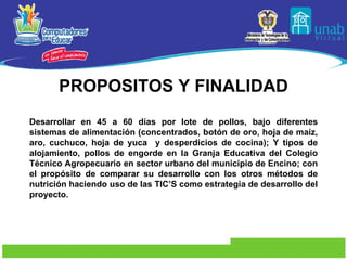 PROPOSITOS Y FINALIDAD Desarrollar en 45 a 60 días por lote de pollos, bajo diferentes sistemas de alimentación (concentrados, botón de oro, hoja de maíz, aro, cuchuco, hoja de yuca  y desperdicios de cocina); Y tipos de alojamiento, pollos de engorde en la Granja Educativa del Colegio Técnico Agropecuario en sector urbano del municipio de Encino; con el propósito de comparar su desarrollo con los otros métodos de nutrición haciendo uso de las TIC’S como estrategia de desarrollo del proyecto. 