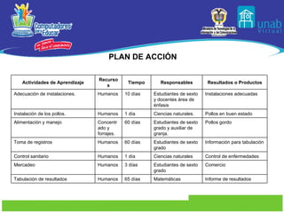 PLAN DE ACCIÓN Actividades de Aprendizaje Recursos Tiempo Responsables Resultados o Productos Adecuación de instalaciones.  Humanos  10 días Estudiantes de sexto y docentes área de énfasis Instalaciones adecuadas Instalación de los pollos. Humanos 1 día Ciencias naturales. Pollos en buen estado Alimentación y manejo Concentrado y forrajes. 60 días Estudiantes de sexto grado y auxiliar de granja. Pollos gordo Toma de registros  Humanos 60 días Estudiantes de sexto grado Información para tabulación  Control sanitario Humanos 1 día Ciencias naturales  Control de enfermedades Mercadeo Humanos 3 días Estudiantes de sexto grado Comercio  Tabulación de resultados Humanos 65 días  Matemáticas Informe de resultados  