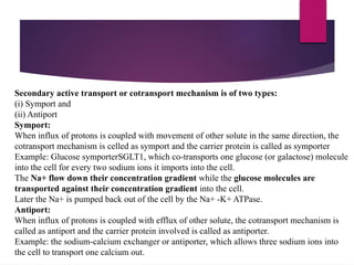 Comprehensive Overview of Cell Membrane Transport Mechanisms | PPTX