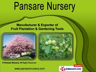 Manufacturer & Exporter of
Fruit Plantation & Gardening Tools
 