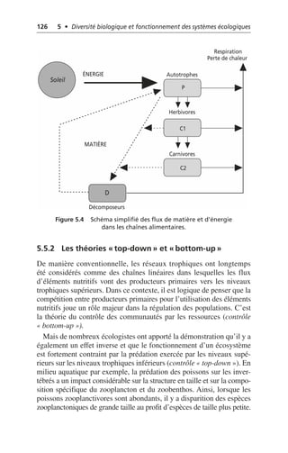 126 5 • Diversité biologique et fonctionnement des systèmes écologiques
5.5.2 Les théories «top-down» et «bottom-up»
De manière conventionnelle, les réseaux trophiques ont longtemps
été considérés comme des chaînes linéaires dans lesquelles les flux
d’éléments nutritifs vont des producteurs primaires vers les niveaux
trophiques supérieurs. Dans ce contexte, il est logique de penser que la
compétition entre producteurs primaires pour l’utilisation des éléments
nutritifs joue un rôle majeur dans la régulation des populations. C’est
la théorie du contrôle des communautés par les ressources (contrôle
«bottom-up»).
Mais de nombreux écologistes ont apporté la démonstration qu’il y a
également un effet inverse et que le fonctionnement d’un écosystème
est fortement contraint par la prédation exercée par les niveaux supé-
rieurs sur les niveaux trophiques inférieurs (contrôle «top-down»). En
milieu aquatique par exemple, la prédation des poissons sur les inver-
tébrés a un impact considérable sur la structure en taille et sur la compo-
sition spécifique du zooplancton et du zoobenthos. Ainsi, lorsque les
poissons zooplanctivores sont abondants, il y a disparition des espèces
zooplanctoniques de grande taille au profit d’espèces de taille plus petite.
Figure 5.4 Schéma simplifié des flux de matière et d’énergie
dans les chaînes alimentaires.
Autotrophes
Herbivores
Carnivores
Décomposeurs
Respiration
Perte de chaleur
ÉNERGIE
MATIÈRE
Soleil
D
P
C1
C2
 