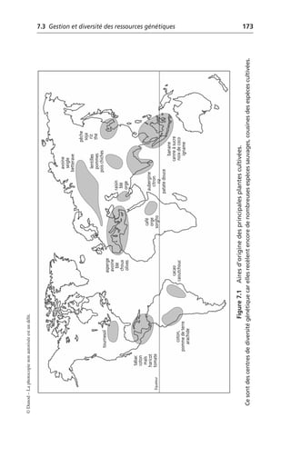7.3 Gestion et diversité des ressources génétiques 173
©
Dunod
–
La
photocopie
non
autorisée
est
un
délit.
Figure
7.1
Aires
d’origine
des
principales
plantes
cultivées.
Ce
sont
des
centres
de
diversité
génétique
car
elles
recèlent
encore
de
nombreuses
espèces
sauvages,
cousines
des
espèces
cultivées.
Équateur
cacao
caoutchouc
coton,
pomme
de
terre
arachide
tabac
coton
maïs
haricot
tomate
tournesol
asperge
avoine
blé
choux
olives
café
orge
sorgho
raisin
blé
orge
avoine
seigle
betterave
lentilles
pommes
pois
chiches
pêche
soja
riz
thé
banane
canne
à
sucre
noix
de
coco
igname
aubergine
citron
riz
patate
douce
 