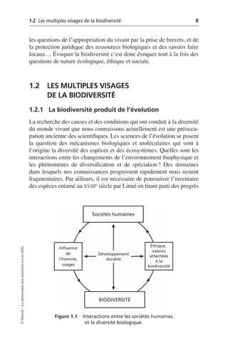1.2 Les multiples visages de la biodiversité 9
©
Dunod
–
La
photocopie
non
autorisée
est
un
délit.
les questions de l’appropriation du vivant par la prise de brevets, et de
la protection juridique des ressources biologiques et des savoirs faire
locaux… Évoquer la biodiversité c’est donc évoquer tout à la fois des
questions de nature écologique, éthique et sociale.
1.2 LES MULTIPLES VISAGES
DE LA BIODIVERSITÉ
1.2.1 La biodiversité produit de l’évolution
La recherche des causes et des conditions qui ont conduit à la diversité
du monde vivant que nous connaissons actuellement est une préoccu-
pation ancienne des scientifiques. Les sciences de l’évolution se posent
la question des mécanismes biologiques et moléculaires qui sont à
l’origine la diversité des espèces et des écosystèmes. Quelles sont les
interactions entre les changements de l’environnement biophysique et
les phénomènes de diversification et de spéciation? Des domaines
dans lesquels nos connaissances progressent rapidement mais restent
fragmentaires. Par ailleurs, il est nécessaire de poursuivre l’inventaire
des espèces entamé au XVIIIe siècle par Linné en tirant parti des progrès
Figure 1.1 Interactions entre les sociétés humaines
et la diversité biologique.
Sociétés humaines
BIODIVERSITÉ
Influence
de
l'homme,
usages
Éthique,
valeurs
attachées
à la
biodiversité
Développement
durable
 