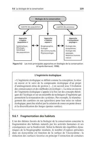 9.6 La biologie de la conservation 229
©
Dunod
–
La
photocopie
non
autorisée
est
un
délit.
9.6.1 Fragmentation des habitats
L’un des thèmes favoris de la biologie de la conservation concerne la
fragmentation des habitats naturels par les activités humaines et ses
conséquences sur la biodiversité. Selon la théorie des équilibres dyna-
miques de la biogéographie insulaire, le nombre d’espèces présentes
dans un écosystème est fonction de la surface de l’écosystème: la
réduction des surfaces favorise en principe l’extinction de certaines
Figure 9.2 Les trois principales approches en biologie de la conservation
(d’après Barnaud, 1998).
L’ingénierie écologique
«L’ingénierie écologique se définit comme la conception, la mise
en œuvre et le suivi de la composante écologique d’un projet
d’aménagement et/ou de gestion […] en accord avec l’évolution
des connaissances et des méthodes en écologie». La mise en œuvre
de l’ingénierie écologique s’appuie à la fois sur des concepts théori-
ques de l’écologie et sur un ensemble de techniques d’ingénierie qui
permettent la restauration des systèmes. Par exemple, le réaména-
gement des carrières en eau (gravières) pour leur mise en valeur
écologique, peut être réalisé par la création de zones en pente douce
et la diversification des berges (pentes variées).
Biologie de la conservation
viabilité des populations viabilité des processus
Approche
«espèce-
population»
Approche
«habitat-
espace»
Approche
«écosystème-
paysage»
Systématique,
Éthologie,
Génétique
des populations
Biogéographie,
Écologie
des communautés,
Phytoscoiologie
Écologie des
écosystèmes,
Écologie des
paysages,
Relations homme-
nature
 