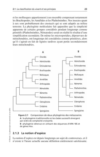 2.1 La classification du vivant et ses principes 23
©
Dunod
–
La
photocopie
non
autorisée
est
un
délit.
et les mollusques appartiennent à un ensemble comprenant notamment
les Brachiopodes, les Annélides et les Plathelminthes. Nos insectes quant
à eux sont probablement des crustacés qui se sont adaptés au milieu
terrestre. La phylogénie moléculaire fait apparaître que la simplicité
apparente de certains groupes considérés pendant longtemps comme
primitifs (Plathelminthes, Nématodes) serait en réalité le résultat d’une
simplification secondaire. De même les microsporidies, dépourvues de
mitochondries, ont longtemps été considérées comme primitives, alors
qu’il s’agirait en fait de lignées tardives ayant perdu secondairement
leurs mitochondries.
2.1.3 La notion d’espèce
La notion d’espèce est depuis longtemps un sujet de controverses, et il
n’existe à l’heure actuelle aucune définition entièrement satisfaisante.
Figure 2.1 Comparaison de deux phylogénies des métazoaires
A: la phylogénie traditionnelle où les clades successifs émergent
par ordre de complexité croissante.
B: phylogénie obtenue en utilisant des séquences d’ARN 18S et
de gènes Hox.
Chordés
Hémichordés
Échinodermes
Brachiopodes
Mollusques
Annélides
Arthropodes
Nématodes
Némertes
Plathelminthes
Cténophores
Cnidaires
Spongiaires
Chordés
Hémichordés
Échinodermes
Brachiopodes
Mollusques
Annélides
Némertes
Plathelminthes
Arthropodes
Nématodes
Cténophores
Cnidaires
Spongiaires
A B
 