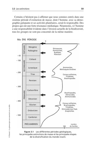 3.3 Les extinctions 59
©
Dunod
–
La
photocopie
non
autorisée
est
un
délit.
Certains n’hésitent pas à affirmer que nous sommes entrés dans une
sixième période d’extinction de masse, dont l’homme, avec sa démo-
graphie galopante et ses activités planétaires, serait le responsable. Des
propos qui ont une forte résonance médiatique. Néanmoins, si l’homme
a une responsabilité évidente dans l’érosion actuelle de la biodiversité,
tous les groupes ne sont pas concernés de la même manière.
Figure 3.1 Les différentes périodes géologiques,
les principales extinctions de masse et les principales étapes
de la diversification du monde vivant.
Ma ÈRE PÉRIODE
?
– 65
– 100
– 200
– 300
– 400
– 500
Néogène
Paléogène
Crétacé
Jurassique
Trias
Permien
Carbonifère
Dévonien
Silurien
Ordovicien
Cambrien
PRÉCAMBRIEN
TERTIAIRE
SECONDAIRE
PRIMAIRE
Dinosaures,
Ammonites,
Rudistes,
Plancton
Ammonites,
Mollusques bivalves
Coraux solitaires,
Trilobites,
Brachiopodes
Brachiopodes,
Ostracodes,
Ammonoides
Coraux solitaires,
Brachiopodes,
Trilobites,
Échinodermes fixés
Graptolites
nombre
de familles
500
 