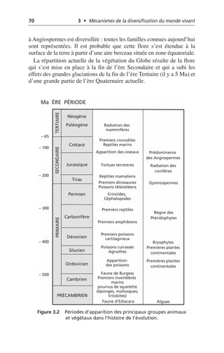 70 3 • Mécanismes de la diversification du monde vivant
à Angiospermes est diversifiée: toutes les familles connues aujourd’hui
sont représentées. Il est probable que cette flore s’est étendue à la
surface de la terre à partir d’une aire berceau située en zone équatoriale.
La répartition actuelle de la végétation du Globe résulte de la flore
qui s’est mise en place à la fin de l’ère Secondaire et qui a subi les
effets des grandes glaciations de la fin de l’ère Tertiaire (il y a 5 Ma) et
d’une grande partie de l’ère Quaternaire actuelle.
Figure 3.2 Périodes d’apparition des principaux groupes animaux
et végétaux dans l’histoire de l’évolution.
Ma ÈRE PÉRIODE
– 65
– 100
– 200
– 300
– 400
– 500
Néogène
Paléogène
Crétacé
Jurassique
Trias
Permien
Carbonifère
Dévonien
Silurien
Ordovicien
Cambrien
PRÉCAMBRIEN
TERTIAIRE
SECONDAIRE
PRIMAIRE
Radiation des
mammifères
Premiers crocodiles
Reptiles marins
Apparition des oiseaux
Tortues terrestres
Reptiles mamaliens
Premiers dinosaures
Poissons téléostéens
Crinoïdes,
Céphalopodes
Premiers reptiles
Premiers amphibiens
Premiers poissons
cartilagineux
Poissons cuirassés
Agnathes
Apparition
des poissons
Faune de Burgess
Premiers invertébrés
marins
pourvus de squelette
(éponges, mollusques,
trilobites)
Prédominance
des Angiospermes
Radiation des
conifères
Gymnospermes
Bryophytes
Premières plantes
continentales
Premières plantes
continentales
Algues
Faune d’Ediacara
Régne des
Ptéridophytes
 