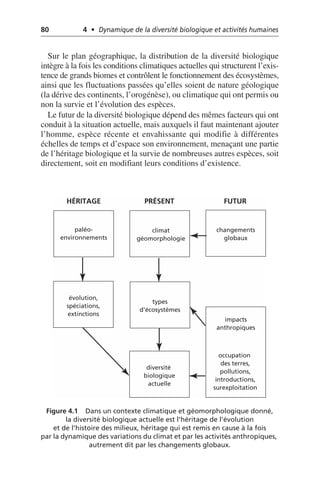 80 4 • Dynamique de la diversité biologique et activités humaines
Sur le plan géographique, la distribution de la diversité biologique
intègre à la fois les conditions climatiques actuelles qui structurent l’exis-
tence de grands biomes et contrôlent le fonctionnement des écosystèmes,
ainsi que les fluctuations passées qu’elles soient de nature géologique
(la dérive des continents, l’orogénèse), ou climatique qui ont permis ou
non la survie et l’évolution des espèces.
Le futur de la diversité biologique dépend des mêmes facteurs qui ont
conduit à la situation actuelle, mais auxquels il faut maintenant ajouter
l’homme, espèce récente et envahissante qui modifie à différentes
échelles de temps et d’espace son environnement, menaçant une partie
de l’héritage biologique et la survie de nombreuses autres espèces, soit
directement, soit en modifiant leurs conditions d’existence.
Figure 4.1 Dans un contexte climatique et géomorphologique donné,
la diversité biologique actuelle est l’héritage de l’évolution
et de l’histoire des milieux, héritage qui est remis en cause à la fois
par la dynamique des variations du climat et par les activités anthropiques,
autrement dit par les changements globaux.
HÉRITAGE PRÉSENT FUTUR
paléo-
environnements
climat
géomorphologie
changements
globaux
impacts
anthropiques
occupation
des terres,
pollutions,
introductions,
surexploitation
diversité
biologique
actuelle
types
d'écosystèmes
évolution,
spéciations,
extinctions
 