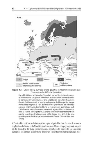 82 4 • Dynamique de la diversité biologique et activités humaines
à l’actuelle, et il ne subsiste qu’un tapis végétal herbacé entre les zones
englacées du Nord et la Méditerranée au sud. Dans ces paysages de steppe
et de toundra de type subarctique, proches de ceux de la Laponie
actuelle, les arbres avaient été éliminés (trop faibles températures esti-
Figure 4.2 L’Europe il y a 20 000 ans (à gauche) et récemment avant que
l’homme ne la défriche (à droite).
Il y a 20 000 ans un islandis s’étendait sur les îles britanniques et
la Scandinavie. Un glacier recouvrait aussi l’Islande. Entre les deux
la banquise s’était installée. Une végétation caractéristique des
climats froids occupait la plus grande partie de l’Europe. La steppe
(herbacées) régnait à l’est et la toundra (herbacées et arbustes)
au nord et à l’ouest. Les forêts ne se rencontrent que très au sud.
L’abaissement du niveau des mers avait agrandi les continents et
relié la France à l’Angleterre. À droite: situation récente montrant
que la toundra est très au nord et la steppe très à l’est. La plus
grande partie de l’Europe est couverte de forêts. (Tiré de Foucault,
1993.)
25 1 000 km
Steppe
S
S
S
S
Toundra
T
T
T
T
T
T
Conifères
C
C
C
C
Feuillus (zones souvent
en grande partie cultivées)
F
F
F
Actuel
F
F
F
F
Végétation
méditerranéenne
Vm
Vm
Vm
Vm
Vm
Vm
 