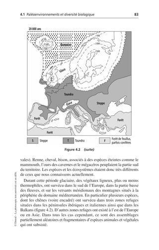 4.1 Paléoenvironnements et diversité biologique 83
©
Dunod
–
La
photocopie
non
autorisée
est
un
délit.
vales). Renne, cheval, bison, associés à des espèces éteintes comme le
mammouth, l’ours des cavernes et le mégacéros peuplaient la partie sud
du territoire. Les espèces et les écosystèmes étaient donc très différents
de ceux que nous connaissons actuellement.
Durant cette période glaciaire, des végétaux ligneux, plus ou moins
thermophiles, ont survécu dans le sud de l’Europe, dans la partie basse
des fleuves, et sur les versants méridionaux des montagnes situés à la
périphérie du domaine méditerranéen. En particulier plusieurs espèces,
dont les chênes (voire encadré) ont survécu dans trois zones refuges
situées dans les péninsules ibériques et italiennes ainsi que dans les
Balkans (figure 4.2). D’autres zones refuges ont existé à l’est de l’Europe
ou en Asie. Dans tous les cas cependant, ce sont des assemblages
partiellement aléatoires et fragmentaires d’espèces animales et végétales
qui ont subsisté.
Figure 4.2 (suite)
Steppe
S Toundra
T
Toundra
Banquise
Steppe
Forêt
Forêt
Forêt
Forêt de feuillus,
parfois conifères
F
20 000 ans
Glace
Glace
1500
500
1500
2000
2500
 