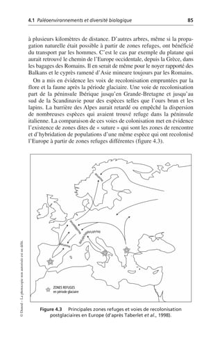 4.1 Paléoenvironnements et diversité biologique 85
©
Dunod
–
La
photocopie
non
autorisée
est
un
délit.
à plusieurs kilomètres de distance. D’autres arbres, même si la propa-
gation naturelle était possible à partir de zones refuges, ont bénéficié
du transport par les hommes. C’est le cas par exemple du platane qui
aurait retrouvé le chemin de l’Europe occidentale, depuis la Grèce, dans
les bagages des Romains. Il en serait de même pour le noyer rapporté des
Balkans et le cyprès ramené d’Asie mineure toujours par les Romains.
On a mis en évidence les voix de recolonisation empruntées par la
flore et la faune après la période glaciaire. Une voie de recolonisation
part de la péninsule Ibérique jusqu’en Grande-Bretagne et jusqu’au
sud de la Scandinavie pour des espèces telles que l’ours brun et les
lapins. La barrière des Alpes aurait retardé ou empêché la dispersion
de nombreuses espèces qui avaient trouvé refuge dans la péninsule
italienne. La comparaison de ces voies de colonisation met en évidence
l’existence de zones dites de «suture» qui sont les zones de rencontre
et d’hybridation de populations d’une même espèce qui ont recolonisé
l’Europe à partir de zones refuges différentes (figure 4.3).
Figure 4.3 Principales zones refuges et voies de recolonisation
postglaciaires en Europe (d’après Taberlet et al., 1998).
ZONES REFUGES
en période glaciaire
 