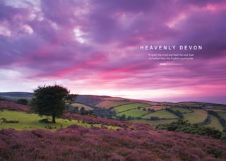 Devon Exlpore
WORDS: Rowena Marella-Daw
To quiet the mind and feed the soul, look
no further than the English countryside
H E A V E N L Y D E V O N
 