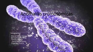 Anomalías cromosómicas
Integrantes:
-María Jesús Vargas
-Benjamín Helmke
-Tomás Matus
´-Javiera Menares
-Ángeles Rivera
 