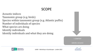 UKAN – Workshop on Soundscapes - London 2022
SCOPE
Acoustic indices
Taxonomic group (e.g. birds)
Species within taxonomic group (e.g. Atlantic puffin)
Number of individuals of species
What species are doing
Identify individuals
Identify individuals and what they are doing
+ CONTEXT
(abiotic sensors)
 