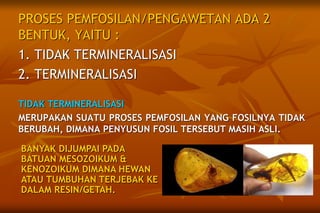 PROSES PEMFOSILAN/PENGAWETAN ADA 2
BENTUK, YAITU :
1. TIDAK TERMINERALISASI
2. TERMINERALISASI
TIDAK TERMINERALISASI
MERUPAKAN SUATU PROSES PEMFOSILAN YANG FOSILNYA TIDAK
BERUBAH, DIMANA PENYUSUN FOSIL TERSEBUT MASIH ASLI.
BANYAK DIJUMPAI PADA
BATUAN MESOZOIKUM &
KENOZOIKUM DIMANA HEWAN
ATAU TUMBUHAN TERJEBAK KE
DALAM RESIN/GETAH.
 