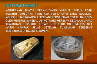HISTOMETABASIS
MERUPAKAN SUATU ISTILAH YANG KHUSUS UNTUK FOSIL
TUMBUH-TUMBUHAN TERUTAMA FOSIL KAYU YANG MOLEKUL-
MOLEKUL JARINGANNYA TERJADI PERGANTIAN TOTAL DAN DIISI
OLEH MINERAL-MINERAL ASING YANG MERESAP KEDALAM JASAD
TUMBUHAN TERSEBUT TETAPI STRUKTUR MICROSCOPIS NYA
MASIH NAMPAK JELAS SETELAH TUMBUHAN TERSEBUT
TERPENDAM DI DALAM SEDIMEN.
 