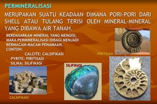 PERMINERALISASI
MERUPAKAN SUATU KEADAAN DIMANA PORI-PORI DARI
SHELL ATAU TULANG TERISI OLEH MINERAL-MINERAL
YANG DIBAWA AIR TANAH.
BERDASARKAN MINERAL YANG MENGISI,
MAKA PERMINERALISASI DIBAGI MENJADI
BERMACAM-MACAM PENAMAAN.
CONTOH:
CALCITE: CALSIFIKASI
PYRITE: PIRITISASI
SILIKA: SILIFIKASI
PIRITISASI
CALSIFIKASI
SILIFIKASI
 