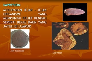 IMPRESION
MERUPAKAN JEJAK - JEJAK
ORGANISME YANG
MEMPUNYAI RELIEF RENDAH
SEPERTI BEKAS DAUN YANG
JATUH DI LUMPUR
Leaf Fossil
Jelly Fish Fossil
 