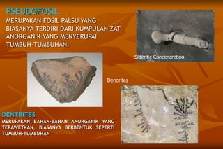 PSEUDOFOSIL
MERUPAKAN FOSIL PALSU YANG
BIASANYA TERDIRI DARI KUMPULAN ZAT
ANORGANIK YANG MENYERUPAI
TUMBUH-TUMBUHAN.
Dendrites
Sideritic Concencretion
DENTRITES
MERUPAKAN BAHAN-BAHAN ANORGANIK YANG
TERAWETKAN, BIASANYA BERBENTUK SEPERTI
TUMBUH-TUMBUHAN
 