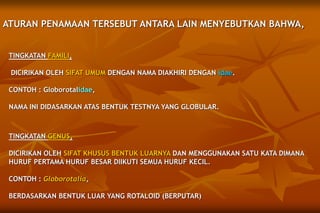 TINGKATAN FAMILI,
DICIRIKAN OLEH SIFAT UMUM DENGAN NAMA DIAKHIRI DENGAN idae.
CONTOH : Globorotalidae,
NAMA INI DIDASARKAN ATAS BENTUK TESTNYA YANG GLOBULAR.
ATURAN PENAMAAN TERSEBUT ANTARA LAIN MENYEBUTKAN BAHWA,
TINGKATAN GENUS,
DICIRIKAN OLEH SIFAT KHUSUS BENTUK LUARNYA DAN MENGGUNAKAN SATU KATA DIMANA
HURUF PERTAMA HURUF BESAR DIIKUTI SEMUA HURUF KECIL.
CONTOH : Globorotalia,
BERDASARKAN BENTUK LUAR YANG ROTALOID (BERPUTAR)
 