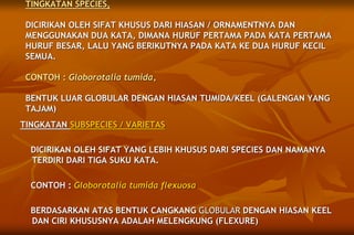 TINGKATAN SUBSPECIES / VARIETAS
DICIRIKAN OLEH SIFAT YANG LEBIH KHUSUS DARI SPECIES DAN NAMANYA
TERDIRI DARI TIGA SUKU KATA.
CONTOH : Globorotalia tumida flexuosa
BERDASARKAN ATAS BENTUK CANGKANG GLOBULAR DENGAN HIASAN KEEL
DAN CIRI KHUSUSNYA ADALAH MELENGKUNG (FLEXURE)
TINGKATAN SPECIES,
DICIRIKAN OLEH SIFAT KHUSUS DARI HIASAN / ORNAMENTNYA DAN
MENGGUNAKAN DUA KATA, DIMANA HURUF PERTAMA PADA KATA PERTAMA
HURUF BESAR, LALU YANG BERIKUTNYA PADA KATA KE DUA HURUF KECIL
SEMUA.
CONTOH : Globorotalia tumida,
BENTUK LUAR GLOBULAR DENGAN HIASAN TUMIDA/KEEL (GALENGAN YANG
TAJAM)
 