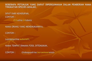 BEBERAPA PETUNJUK YANG DAPAT DIPERGUNAKAN DALAM PEMBERIAN NAMA
TINGKATAN SPECIES ADALAH,
SIFAT DARI KEHIDUPAN,
CONTOH :
Orbulina bilobata
NAMA ORANG YANG MENEMUKANNYA,
CONTOH :
Lepidocyclina subandii,
NAMA TEMPAT DIMANA FOSIL DITEMUKAN,
CONTOH : Globoquadrina baroemoenensis
 