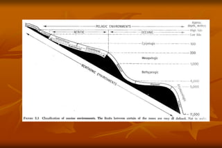 22303_PALEONTOLOGI_I_ppt.ppt