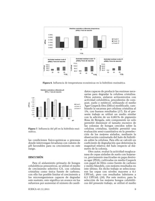 Figura 6. Influencia de temperaturas económicas en la hidrólisis enzimática.

Figura 7. Influencia del pH en la hidrólisis enzimática.

las condiciones fisico-químicas a procesos
donde intervengan levaduras con valores de
pH favorables para su crecimiento en este
rango.
DISCUSIÓN
Para el aislamiento primario de hongos
celulolíticos presuntivos, se utilizó el medio
de crecimiento selectivo CA, con celulosa
cristalina como única fuente de carbono,
con ello fue posible limitar el crecimiento a
los microorganismos capaces de degradar
este sustrato, esto significa un avance en los
esfuerzos por aumentar el número de candiICIDCA 45 (1) 2011

datos capaces de producir las enzimas necesarias para degradar la celulosa cristalina.
Otros autores, aislaron actinomicetos con
actividad celulolítica, procedentes de compost, suelo y estiércol, utilizando el medio
Agar Czapeck-Dox (Difco) modificado, cambiando la sacarosa por celulosa cristalina al
1%, con buenos resultados (27). En el presente trabajo se utilizó un medio similar
con la adición de un 0,001% de pigmento
Rosa de Bengala, este componente no solo
permitió disminuir el tamaño excesivo de
las colonias de hongos crecidos sobre la
celulosa cristalina, también permitió una
evaluación semi-cuantitativa en la preselección de los mejores aislados, mediante la
observación contrastada del halo de hidrólisis sobre la celulosa. Para ello se calculó un
coeficiente de degradación que determina la
magnitud relativa del halo respecto al diámetro de la colonia.
Otro autor, evaluó la actividad exoglucanasa de cepas aisladas de suelo con hojarasca, previamente reactivadas en papa dextrosa agar (PDA), cultivadas en medio Czapeck
con papel de filtro como fuente de carbono
y medio Mandels, con mejores resultados en
este último. En dicho trabajo se seleccionaron las cepas con niveles mayores a 0,1
UPF/mL, pero con resultados inferiores a
0,3 UPF/mL (28). Por este motivo, para la
selección de los mejores hongos celulolíticos del presente trabajo, se utilizó el medio
9

 