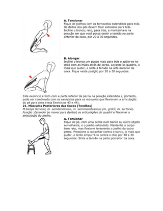 A. Tensionar
                              Fique de joelhos com os tornozelos estendidos para trás.
                              Os dedos dos pés devem ficar esticados para trás.
                              Incline o tronco, reto, para trás, e mantenha-o na
                              posição em que você possa sentir a tensão na parte
                              anterior da coxa, por 20 a 30 segundos.




                              B. Alongar
                              Incline o tronco um pouco mais para trás e apóie-se no
                              chão com as mãos atrás do corpo. Levante os quadris, o
                              mais que puder, e sinta a tensão na arte anterior da
                              coxa. Fique nesta posição por 20 a 30 segundos.




Este exercício é feito com a parte inferior da perna na posição estendida e, portanto,
pode ser combinado com os exercícios para os músculos que flexionam a articulação
do pé para cima (veja Exercícios 43 e 44).
21. Músculos Posteriores das Coxas (Tendôes)
M.biceps femoral, m. semitendinoso, m. semimembranoso (m. grdcil, m. sartório).
Função :Estender (e mover para dentro) as articulações do quadril e flexionar a
articulação do joelho.
                               A. Tensionar
                               Fique de pé, com uma perna num banco ou outro objeto
                               semelhante, e o joelho estendido. Mantenha o corpo
                               bem reto, mas flexione levemente o joelho da outra
                               perna. Pressione o calcanhar contra o banco, o mais que
                               puder, e tente empurrá-lo contra o chio por 20 a 30
                               segundos. Sinta a tensão na parte posterior da coxa.
 