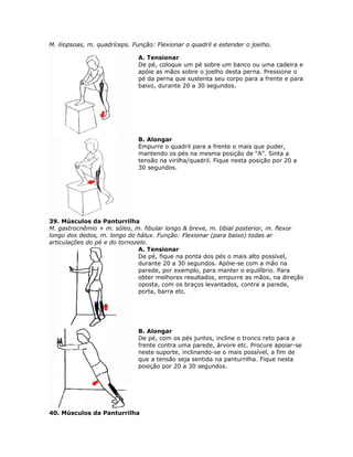M. iliopsoas, m. quadríceps. Função: Flexionar o quadril e estender o joelho.

                              A. Tensionar
                              De pé, coloque um pé sobre um banco ou uma cadeira e
                              apóie as mãos sobre o joelho desta perna. Pressione o
                              pé da perna que sustenta seu corpo para a frente e para
                              baixo, durante 20 a 30 segundos.




                              B. Alongar
                              Empurre o quadril para a frente o mais que puder,
                              mantendo os pés na mesma posição de “A”. Sinta a
                              tensão na virilha/quadril. Fique nesta posição por 20 a
                              30 segundos.




39. Músculos da Panturrilha
M. gastrocnêmio + m. sóleo, m. fibular longo & breve, m. tibial posterior, m. flexor
longo dos dedos, m. longo do hálux. Função: Flexionar (para baixo) todas ar
articulações do pé e do tornozelo.
                              A. Tensionar
                              De pé, fique na ponta dos pés o mais alto possível,
                              durante 20 a 30 segundos. Apóie-se com a mão na
                              parede, por exemplo, para manter o equilíbrio. Para
                              obter melhores resultados, empurre as mãos, na direção
                              oposta, com os braços levantados, contra a parede,
                              porta, barra etc.




                              B. Alongar
                              De pé, com os pés juntos, incline o tronco reto para a
                              frente contra uma parede, árvore etc. Procure apoiar-se
                              neste suporte, inclinando-se o mais possível, a fim de
                              que a tensão seja sentida na panturrilha. Fique nesta
                              posição por 20 a 30 segundos.




40. Músculos da Panturrilha
 