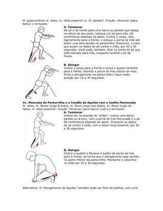 M. gastrocnêmio m. sóleo, m. tibial posterior (o. M. plantar). Função: Flexionar (para
baixo) o tornozelo.
                             A. Tensionar
                             De pé e de frente para uma barra ou parede que esteja
                             na altura do seu peito, coloque um pé para trás, 60
                             centímetros afastado do apoio. Incline o corpo, reto,
                             ligeiramente para a frente, e estique a perna de trás até
                             sentir uma leve tensão na panturrilha. Pressione, o mais
                             que puder, os dedos do pé contra o chão, por 20 a 30
                             segundos. Você pode, também, ficar na ponta do pé que
                             está esticado para trás, enquanto levanta o pé da
                             frente.


                              B. Alongar
                              Incline o corpo para a frente e mova o quadril também
                              para a frente, fazendo a perna de trás esticar-se mais.
                              Sinta o alongamento na panturrilha e fique nesta
                              posição por 20 a 30 segundos




41. Músculos da Panturrilha e o Tendão de Aquiles com o Joelho Flexionado
M. sóleo, m. fibular longo & breve, m. flexor longo dos dedos, m. flexor longo do
hálux, m. tibial posterior. Função: Flexionar (para baixo) o pé e o tornozelo.
                                A. Tensionar
                                Incline-se, na posição de “andar”, contra uma barra,
                                parede ou árvore, com a perna de trás flexionada e o pé
                                60 centímetros afastado do apoio. Pressione os dedos
                                do pé contra o chão, com a maior força possível, por 20
                                a 30 segundos.




                              B. Alongar
                              Incline o quadril e flexione o joelho da perna de trás
                              para a frente, de forma que o alongamento seja sentido
                              na parte inferior da panturrilha. Mantenha o calcanhar
                              no chão por 20 a 30 segundos.




Alternativa: O “Alongamento de Aquiles” também pode ser feito de joelhos, com uma
 