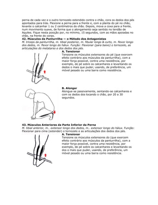 perna de cada vez e o outro tornozelo estendido contra o chão, cora os dedos dos pés
apontados para trás. Flexione a perna para a frente e, com a planta do pé no chão,
levante o calcanhar 1 ou 2 centímetros do chão. Depois, mova a coxa para a frente,
num movimento suave, de forma que o alongamento seja sentido no tendão de
Aquiles. Fique nesta posição por, no mínimo, 15 segundos, com as mãos apoiadas no
chão, na frente do corpo.
42. Músculos da Panturrilha — o Método dos Antagonistas
M. tríceps da panturrilha, m. tibial posterior, m. fibular longo & curto, m. flexor longo
dos dedos, m. flexor longo do hálux. Função: Flexionar (para baixo) o tornozelo, as
articulações do metatarso e dos dedos dos pés.
                                A. Tensionar
                                Tensione os músculos extensores do pé (que exercem
                                efeito contrário aos músculos da panturrilha), com a
                                maior força possível, contra uma resistência, por
                                exemplo, de pé sobre os calcanhares e levantando os
                                dedos o mais que puder, usando, de preferência, um
                                móvel pesado ou uma barra como resistência.




                               B. Alongar
                               Alongue-se passivamente, sentando-se calcanhares e
                               com os dedos dos tocando o chão, por 20 a 30
                               segundos.




43. Músculos Anteriores da Parte Inferior da Perna
M. tibial anterior, m.. extensor longo dos dedos, m.. extensor longo do hálux. Função:
Flexionar para cima (estender) o tornozelo e as articulações dos dedos dos pés.
                                A. Tensionar
                                Tensione os músculos extensores do (que exercem
                                efeito contrário aos músculos da panturrilha), com a
                                maior força possível, contra uma resistência, por
                                exemplo, de pé sobre os calcanhares e levantando os
                                dos o mais que puder, usando, de preferência, um
                                móvel pesado ou uma barra como resistência.
 