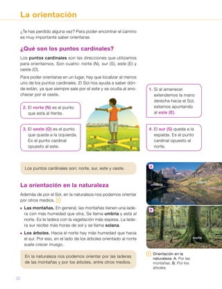 La orientación
¿Te has perdido alguna vez? Para poder encontrar el camino
es muy importante saber orientarse.
¿Qué son los puntos cardinales?
Los puntos cardinales son las direcciones que utilizamos
para orientarnos. Son cuatro: norte (N), sur (S), este (E) y
oeste (O).
Para poder orientarse en un lugar, hay que localizar al menos
uno de los puntos cardinales. El Sol nos ayuda a saber dón-
de están, ya que siempre sale por el este y se oculta al ano-
checer por el oeste.
La orientación en la naturaleza
Además de por el Sol, en la naturaleza nos podemos orientar
por otros medios. 1
 Las montañas. En general, las montañas tienen una lade-
ra con más humedad que otra. Se llama umbría y está al
norte. Es la ladera con la vegetación más espesa. La lade-
ra sur recibe más horas de sol y se llama solana.
  Los árboles. Hacia el norte hay más humedad que hacia
el sur. Por eso, en el lado de los árboles orientado al norte
suele crecer musgo.
En la naturaleza nos podemos orientar por las laderas
de las montañas y por los árboles, entre otros medios.
1   Orientación en la
naturaleza: A. Por las
montañas. B. Por los
árboles.
Los puntos cardinales son: norte, sur, este y oeste.
1. Si al amanecer
extendemos la mano
derecha hacia el Sol,
estamos apuntando
al este (E).
2. El norte (N) es el punto
que está al frente.
3. El oeste (O) es el punto
que queda a la izquierda.
Es el punto cardinal
opuesto al este.
4. El sur (S) queda a la
espalda. Es el punto
cardinal opuesto al
norte.
norte
N
O
S
E
A
B
umbría
solana
22
 