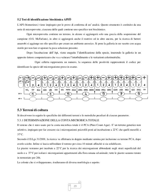 Water supply thesis pdf image