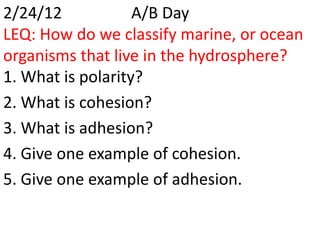 2/24/12            A/B Day
LEQ: How do we classify marine, or ocean
organisms that live in the hydrosphere?
1. What is polarity?
2. What is cohesion?
3. What is adhesion?
4. Give one example of cohesion.
5. Give one example of adhesion.
 