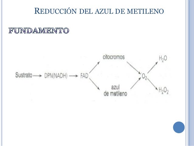 Azul De Metileno Punto De Ebullicion