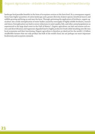 Climate Change Guide
                       Organic Agriculture – A Guide to Climate Change and Food Security


                       landscape level provides benefits in the form of ecosystem services at the farm level. As a consequence organic
                       farms have higher quantities of native landscape and a greater diversity of plant species, beneficial insects and
                       wildlife growing and living on and near the farm. Through optimising the application of fertilizers, organic ag-
                       riculture also avoids eutrophication of water bodies caused by oversupply of highly soluble fertilizers, manure
                       and slurry. Eutrophication can lead to severe reductions in water quality, fish, and other animal populations as
                       experienced in the large dead zones in the Gulf of Mexico3. Organic agriculture can halt and reverse soil ero-
                       sion and desertification and regenerate degraded land to highly productive levels while breathing new life into
                       local ecosystems and their functioning. Organic agriculture is therefore an ideal tool for the world’s 1.5 billion
                       smallholder farmers that not only produce the bulk of the world’s food, but are perhaps our most important
                       biodiversity and ecosystem stewards.




         21
 