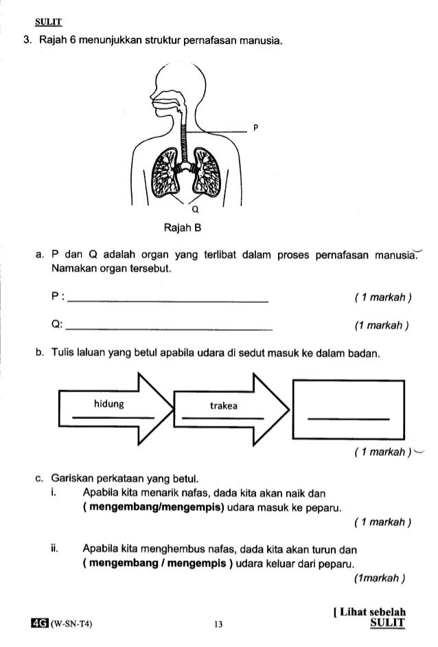 224327902 pertengahan tahun 2014 tahun 4 sains