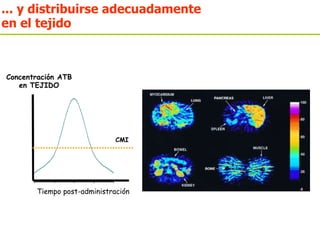 Tiempo post-administración Concentración ATB en TEJIDO CMI ... y distribuirse adecuadamente en el tejido 
